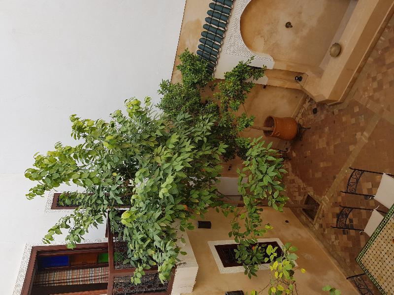 Hotel Dar Rania Marrakesh Esterno foto